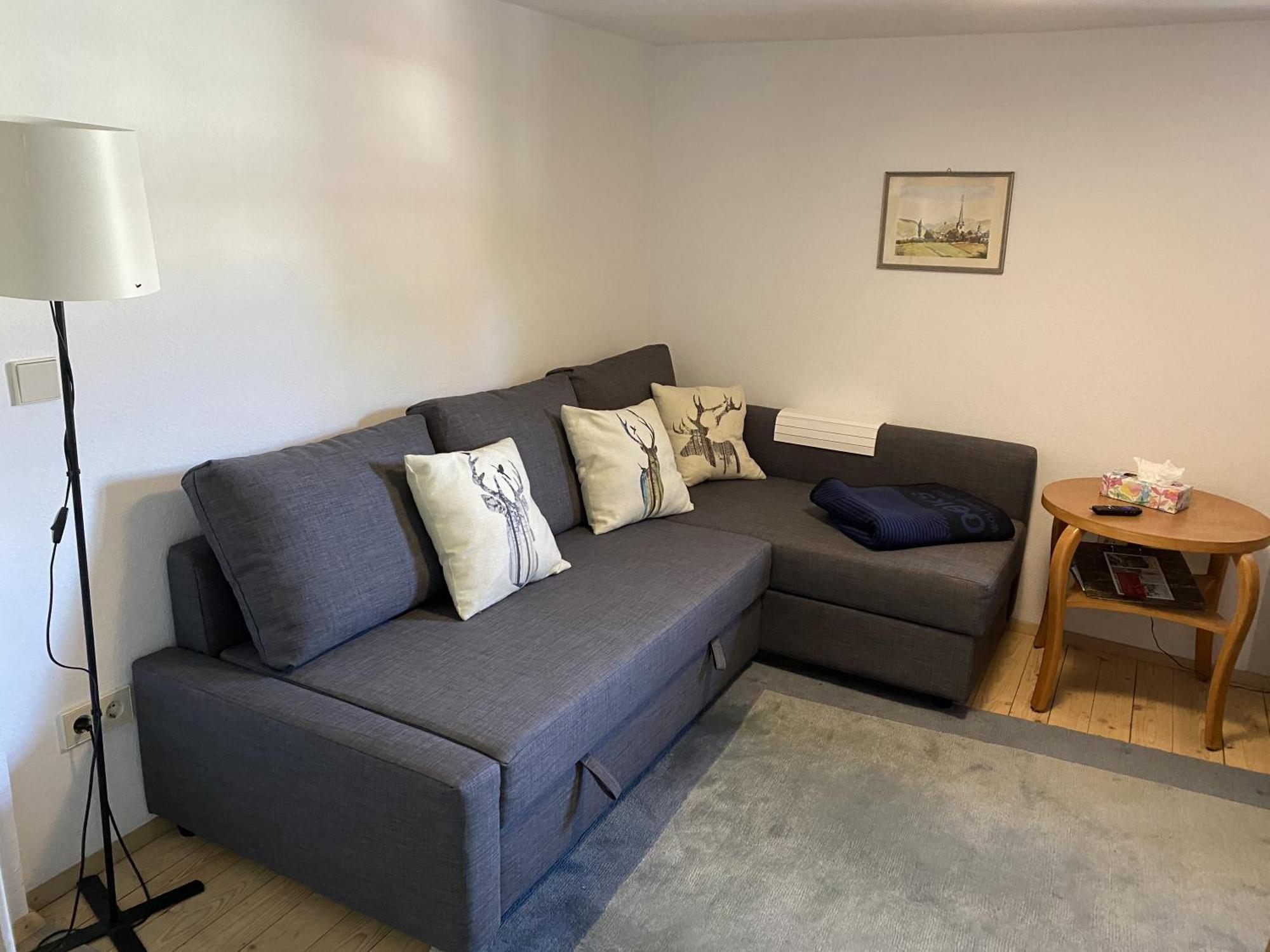 Ferienwohnung Sester Gengenbach Eksteriør bilde